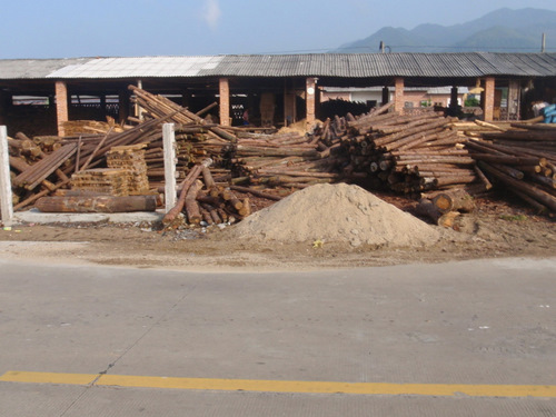 Sawmill.